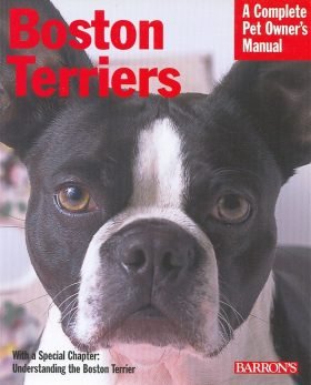 boston-terriers